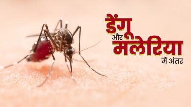 डेंगू मलेरिया का फर्क